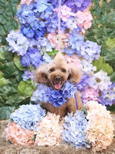 20250603くうくん